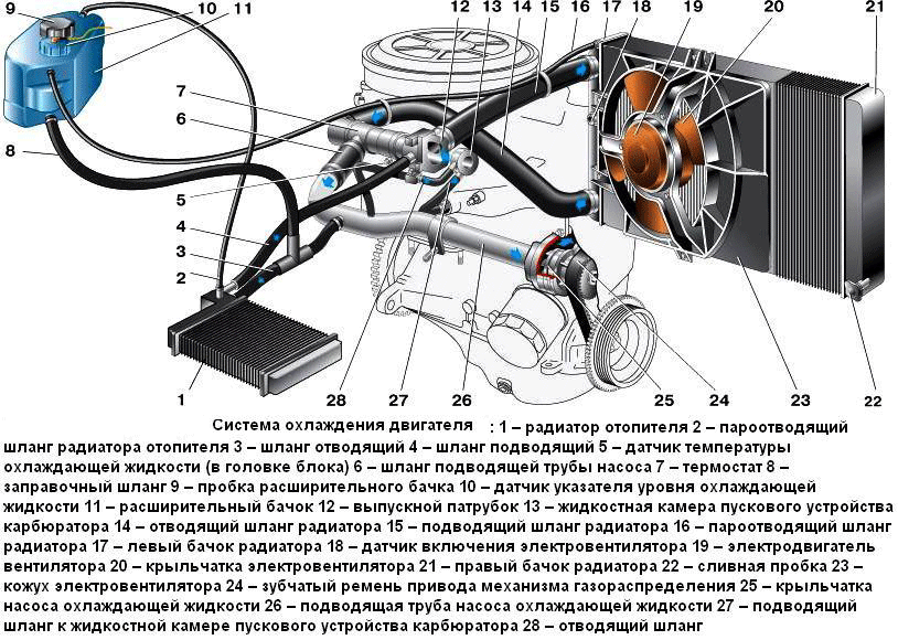 bachok_rasshiritelnyj_5